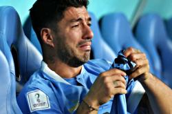 关键时刻布鲁克林篮网备战荷甲，遗憾出局细节曝光，气氛紧张，赛季目标并未改变的简单介绍